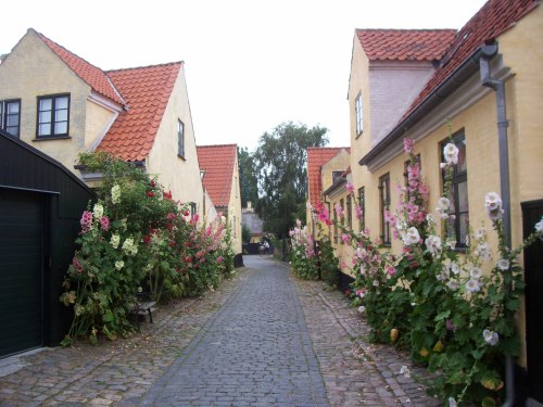 Yet another view of Dragør.  My, just look at the lovely flowers!