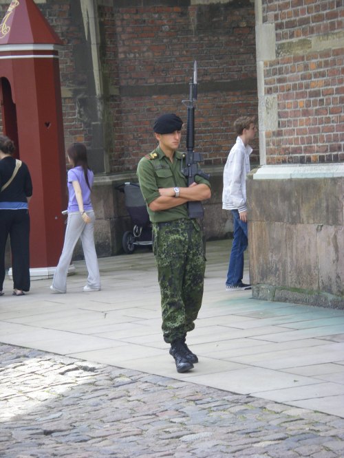 This man was guarding the goodies at Rosenborg.  Looks like a boring job, but I wouldn't cross him.  And yes, that's a bayonet on the end of his rifle, in case you needed extra intimidation.