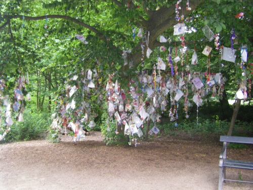 This is the pacifier tree, a (rather disgusting) Danish tradition.  When children are finally ready to give up their pacifiers, they give them to the Pacifier Tree, to join the ranks of everyone else's pacifiers.  It's like the tooth fairy, only way less sanitary.